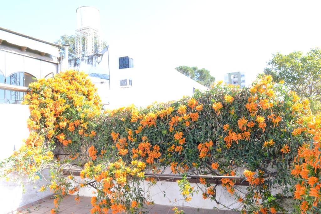 דירות Casa Colonial En Salta Nueva Y Antigua מראה חיצוני תמונה