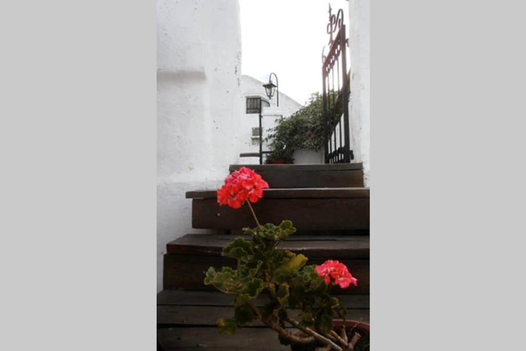 דירות Casa Colonial En Salta Nueva Y Antigua מראה חיצוני תמונה